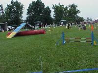 Part of the Dog agility trials course